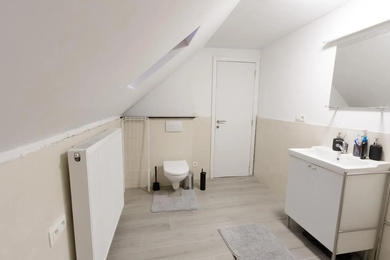 شقة Grogo Duplex Appartment أنتويرب بلجيكا